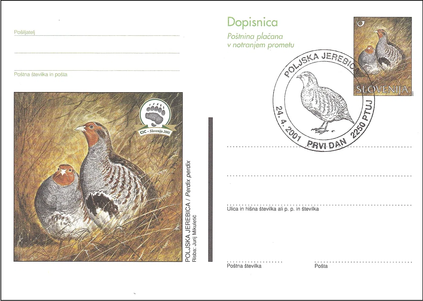 POLJSKA JEREBICA